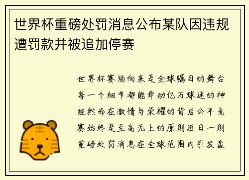 世界杯重磅处罚消息公布某队因违规遭罚款并被追加停赛